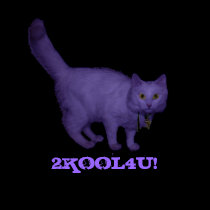 2KOOL4U! t-shirts