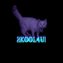 2KOOL4U! t-shirts