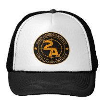 2nd Amendment 3 Mesh Hat
