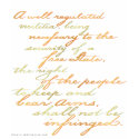 2nd amendment script t-shirts