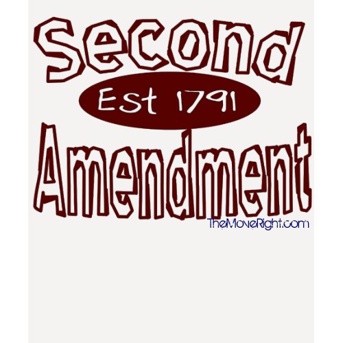 2nd Amendment, TheMoveRight.com shirt