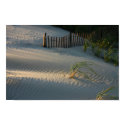2nd beach Sand Dunes posters by newportriphotos 2nd beach Sand Dunes posters
