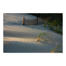 2nd beach Sand Dunes posters