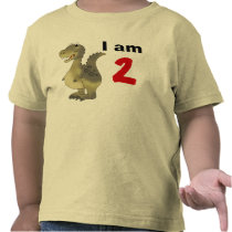 2nd birthday dinosaur gift idea tshirt