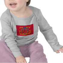 2nd Connecticut Regiment Flag t-shirts
