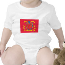 2nd Connecticut Regiment Flag t-shirts