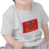 2nd Connecticut Regiment Flag t-shirts