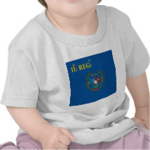 2nd South Carolina Regiment Flag t-shirts