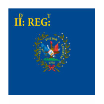2nd South Carolina Regiment Flag t-shirts