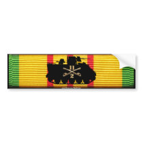 2nd Sqdn 11th ACR Track on VSM Ribbon