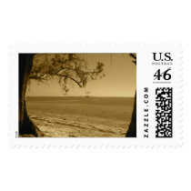 2treeview stamp by iluvsrk 2treeview stamp