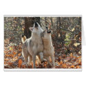 2wolves cards by kathiscc 2wolves cards