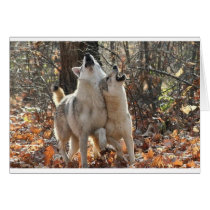 2wolves cards by kathiscc 2wolves cards