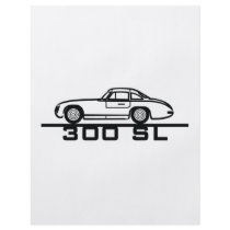 300 SL Panamericana Gullwing Racer flyers