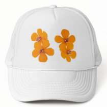 301abcd, by geokip... hats by GeoKip 301abcd, by geokip... hats