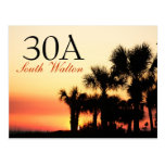 30A - South Walton Palm Tree Sunset Postcard