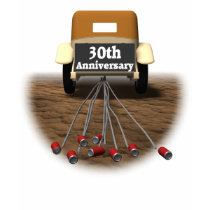 30th Wedding Anniversary Gifts t-shirts