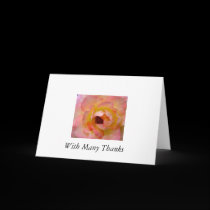 311-12158923587d1L, With Many Thanks cards