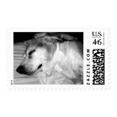 311-Beagle NAP! Stamps by Jill311