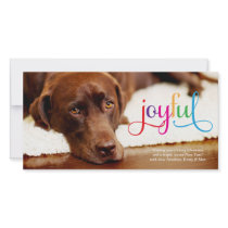 311 Colorful Joyful Pet Christmas Card Photo Card