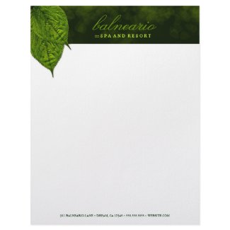 311-Dream Leaf Letterhead letterhead