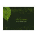 311-Dream Leaf Postcard