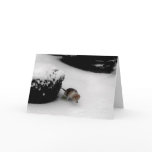 311-Graduation Congratz Cards
