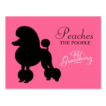 311 Peaches the Poodle Pet Grooming Post Card