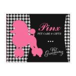 311 Pinx the Poodle Pet Post Card