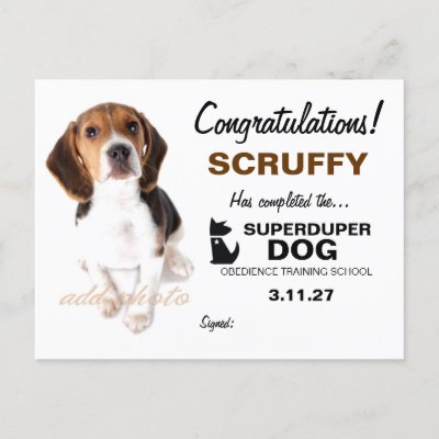 Dog Certificate