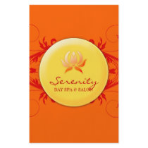 311-Warm Spa Delight Custom Flyer