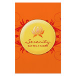 311-Warm Spa Delight flyers