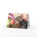 314855-7661677, I got you a Yorkshire Terrier f... cards