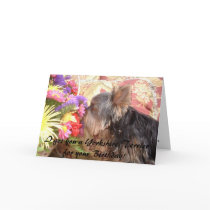 314855-7661677, I got you a Yorkshire Terrier f... cards by danny_svilar 314855-7661677, I got you a Yorkshire Terrier f... cards