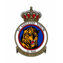 31st Squadron Tiger Belgian Air Force t-shirts