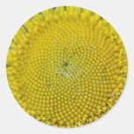 3214 Sunflower Detail 2 xs Round Sticker