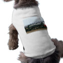 3254 Steam Locomotive petshirt
