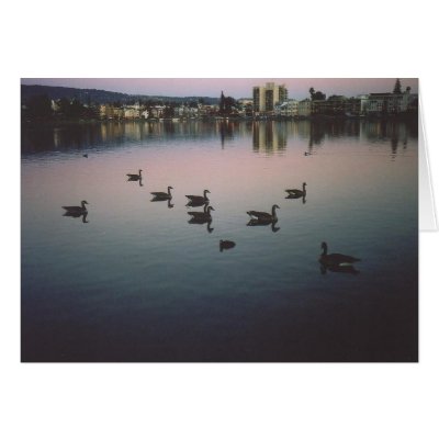 32. Geese at Sunset, Lake Merritt, Oakland, CA Cards by JBPhotoBiz