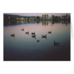 32. Geese at Sunset, Lake Merritt, Oakland, CA cards