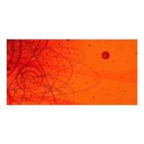 3341260 PHOTO GREETING CARD
