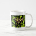 3372 Butterfly b mugs by Rob2tall 3372 Butterfly b mugs