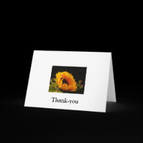 33-1220388650yKWZ, Thank-you cards