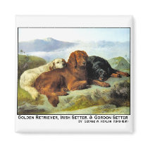 34a Golden Retriever, Irish Setter and Gordon Sett magnets by VintagePets 34a Golden Retriever, Irish Setter and Gordon Sett magnets