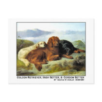 34a Golden Retriever, Irish Setter and Gordon Sett postcards by VintagePets 34a Golden Retriever, Irish Setter and Gordon Sett postcards
