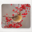 350 mousepads by aceinvestor 350 mousepads