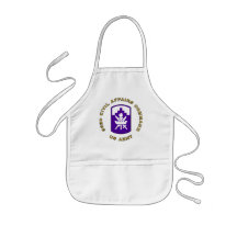 353d Civil Affairs Command Aprons