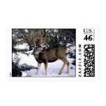 35-93-17 Deer Stamps