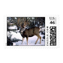 35-93-17 Deer postage by chaire 35-93-17 Deer postage