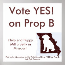 35" by 35" - YES! on Prop B Poster
