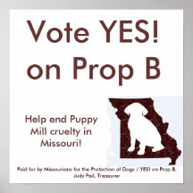 35" by 35" - YES! on Prop B Poster